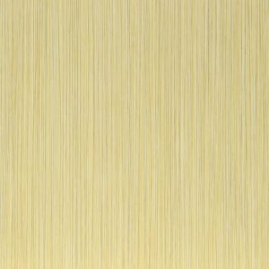 Decorwall Abstract Lemon Zest Wall Panel 2.7m X 30cm 1