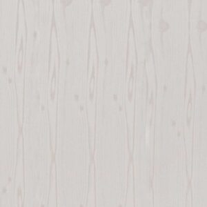 Silver Birch Thunmbnail
